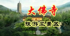 鸡插逼网站中国浙江-新昌大佛寺旅游风景区